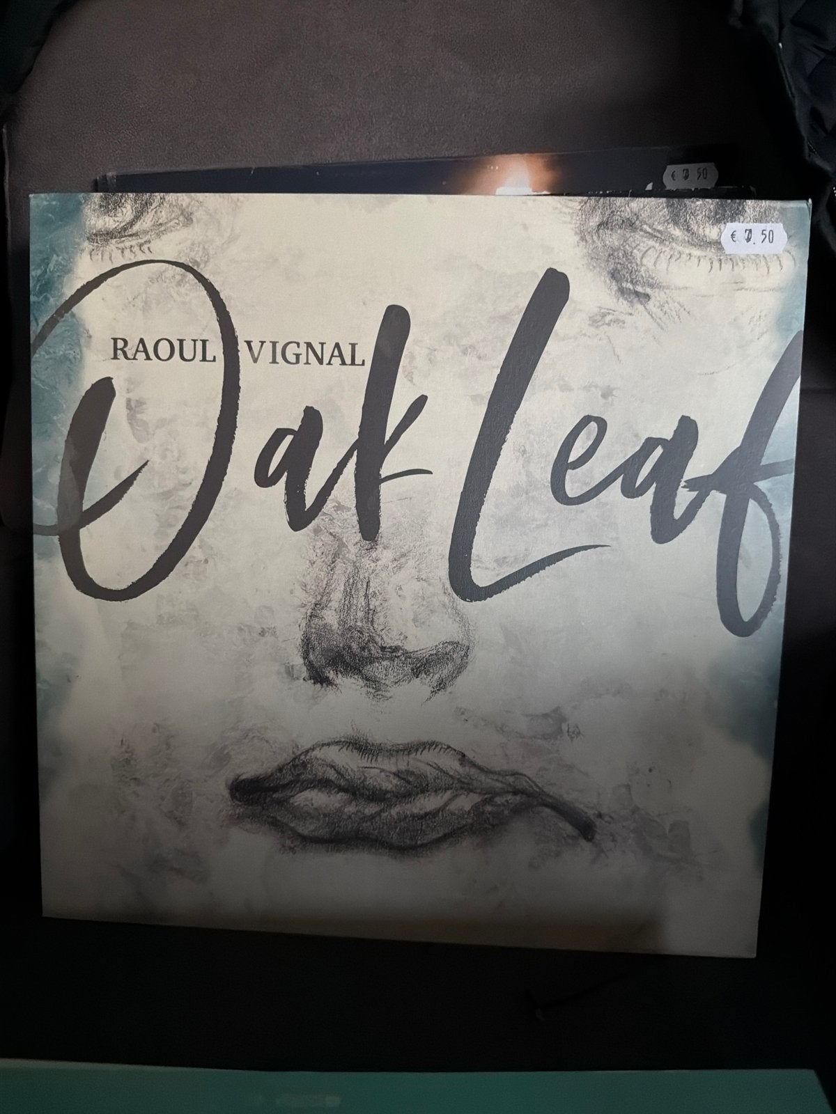 KG. Raoul Vignal - Oak Leaf LP. Folk/Singer-songwriter), Ophalen of Verzenden, Gebruikt, 12 inch, Folk