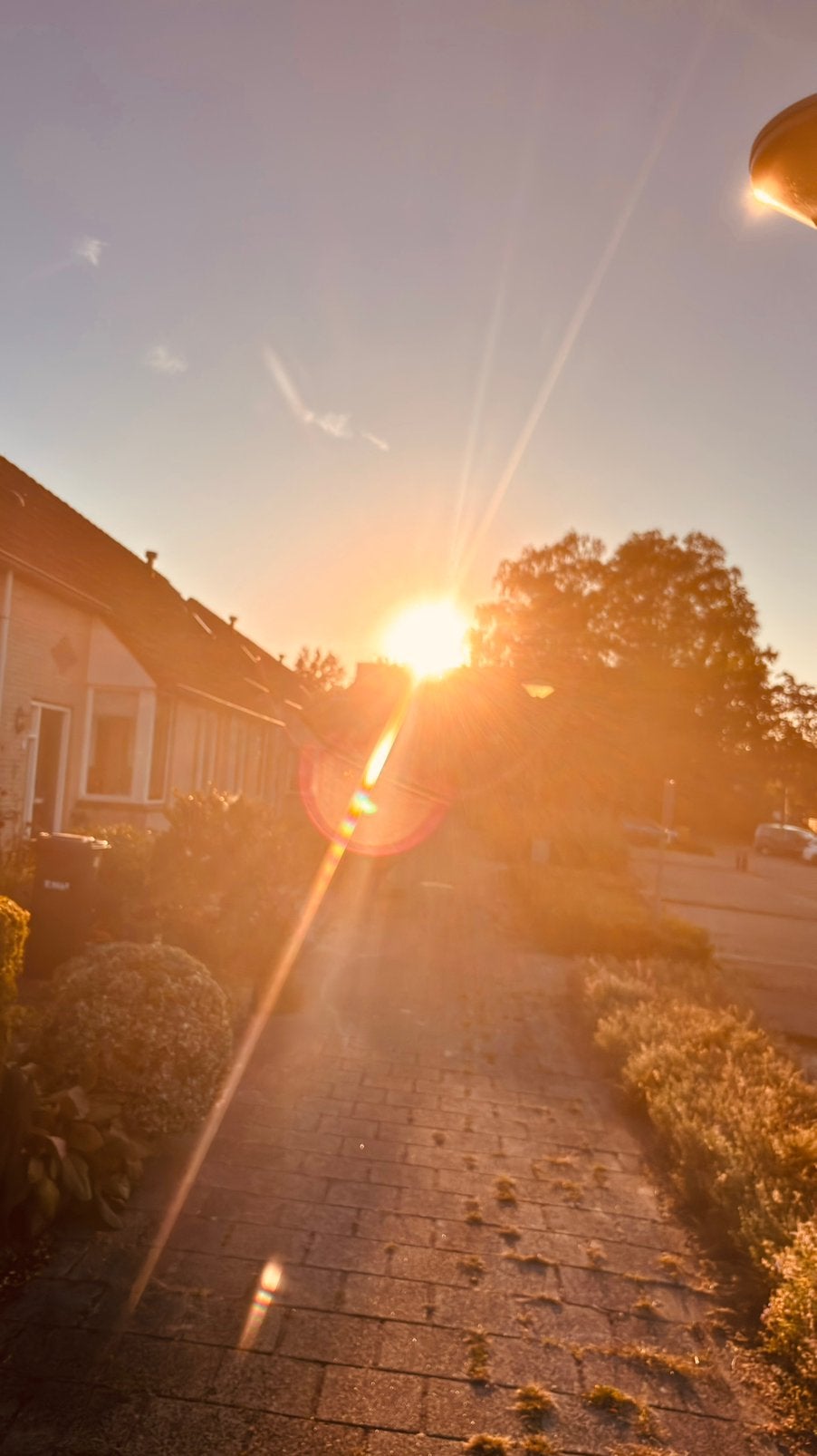 Diensten aangeboden !, Ophalen