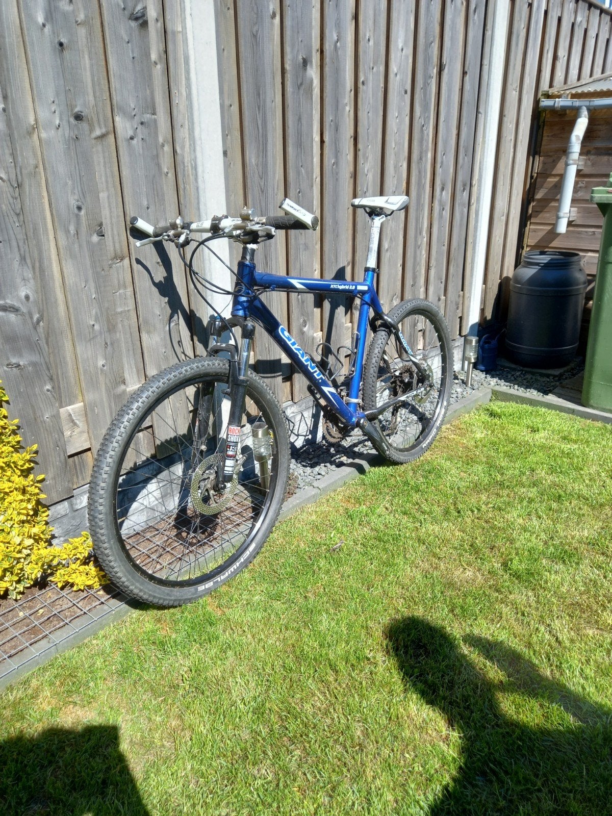 Giant Terrago 2.0 Mountainbike - Blauw, Ophalen, Gebruikt, Giant