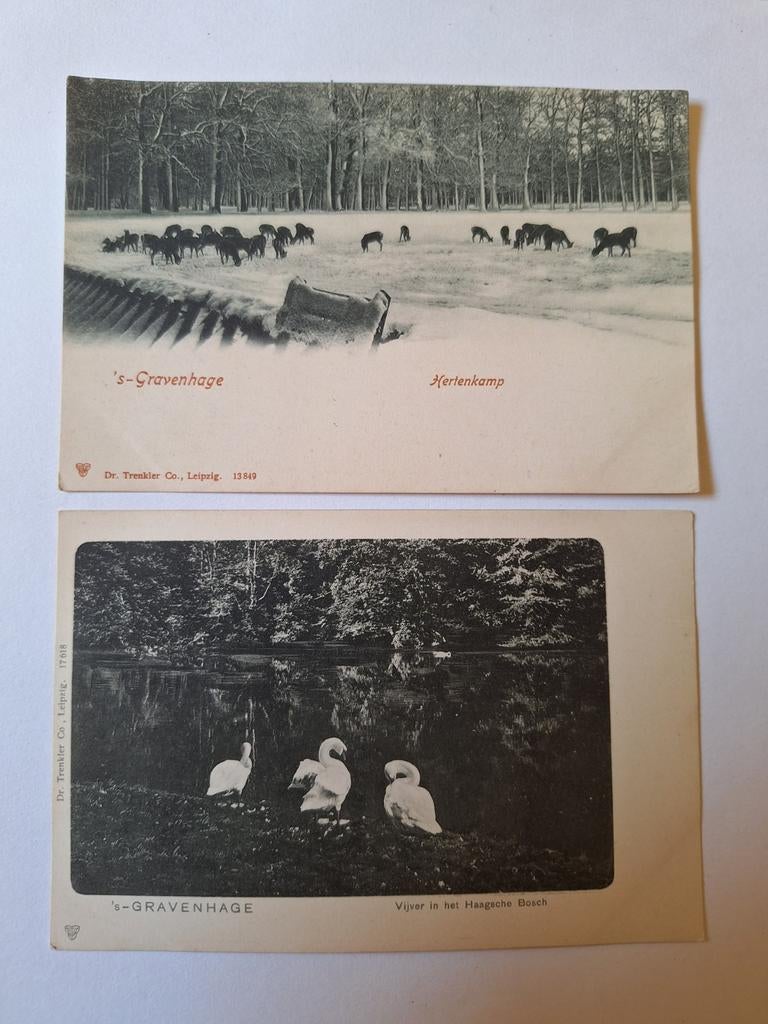 Den Haag 48, Ophalen of Verzenden, Voor 1920, Zuid-Holland