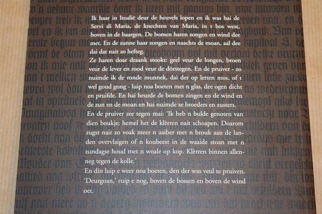 Swaalfies rond Auwerd [Groninger Boekendagen 2004], Ophalen of Verzenden, Gelezen
