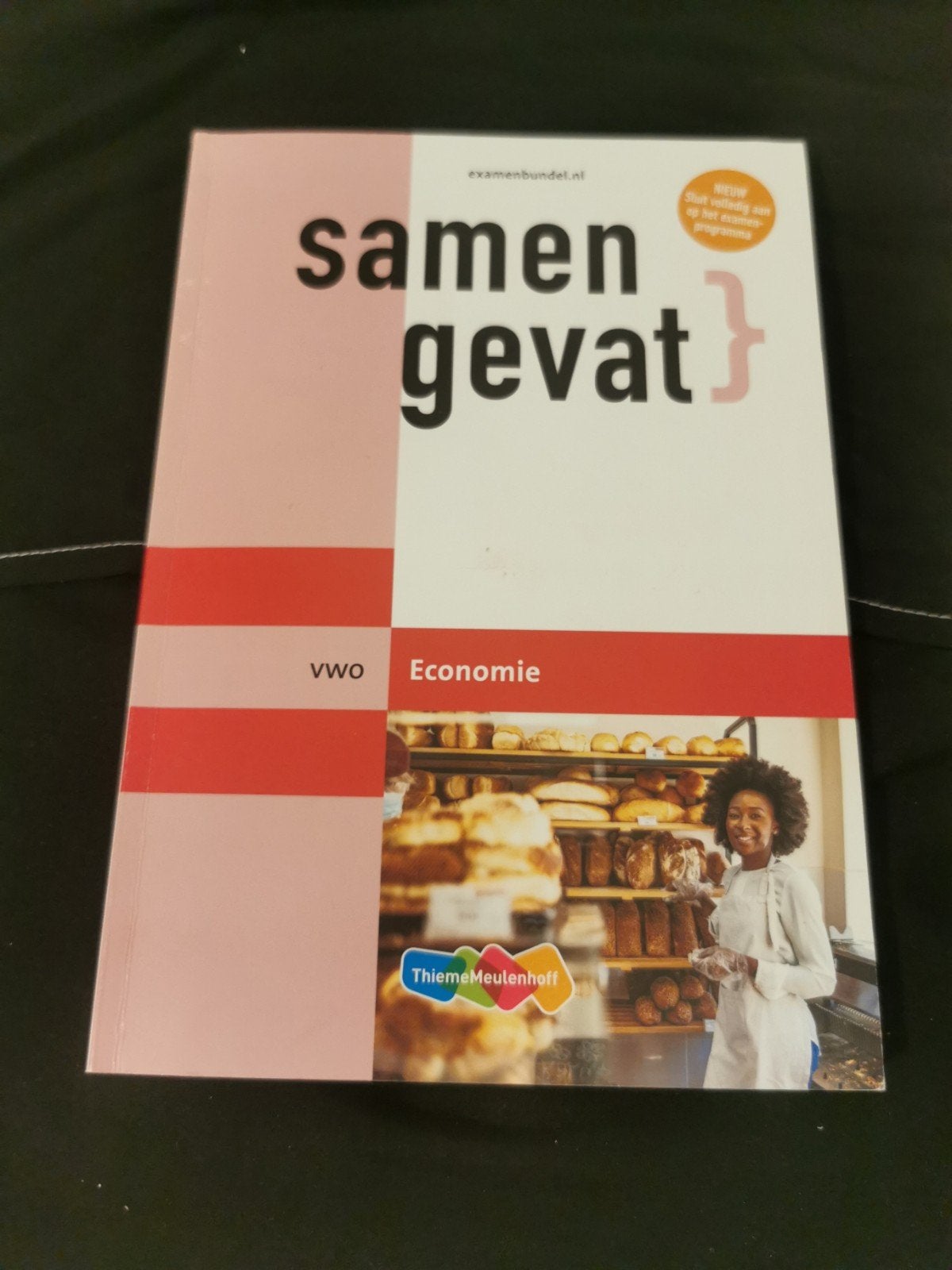 Samengevat VWO Economie - Examenbundel, ThiemeMeulenhoff, Ophalen of Verzenden, Gamma, WO