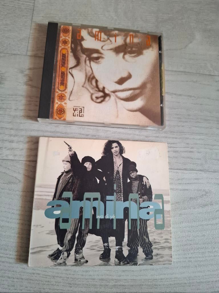 2 cd's van Amina, runner-up songfestival 1991, Ophalen of Verzenden, 1990 - 1999, Zo goed als nieuw