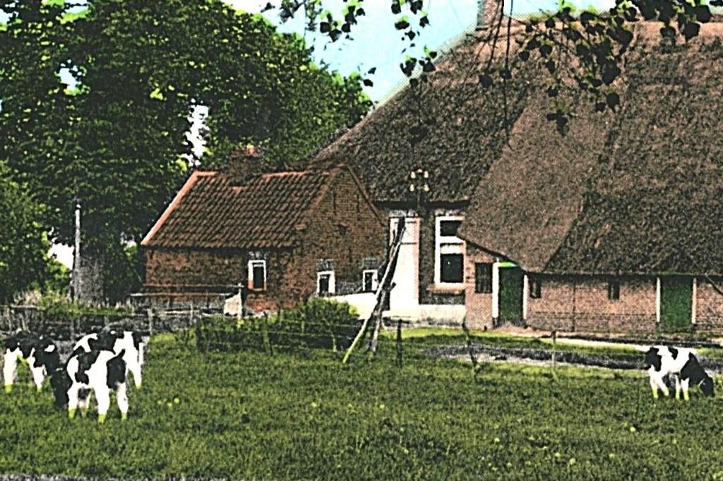 36250 Ruinen 1969 Drenthe Gelopen met postzegel, Ophalen of Verzenden, 1960 tot 1980, Gelopen, Drenthe