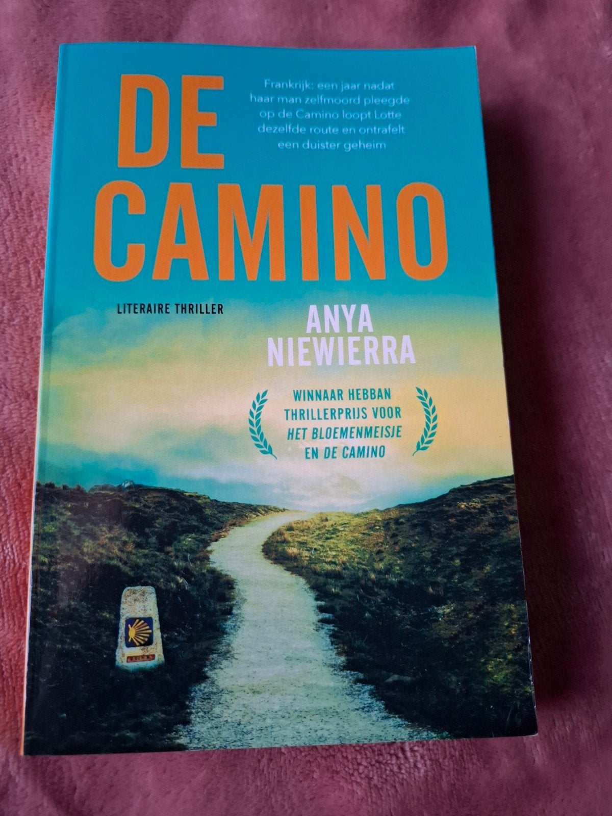 De Camino - Anya Niewierra (Literaire thriller), Boeken, Ophalen of Verzenden, Zo goed als nieuw, Anya Niewierra