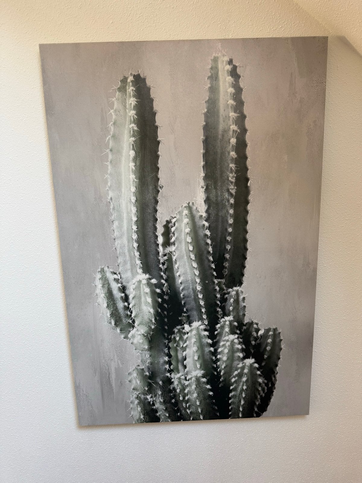 Cactus Canvas Schilderij, Ophalen, Zo goed als nieuw, Schilderij, 75 – 100