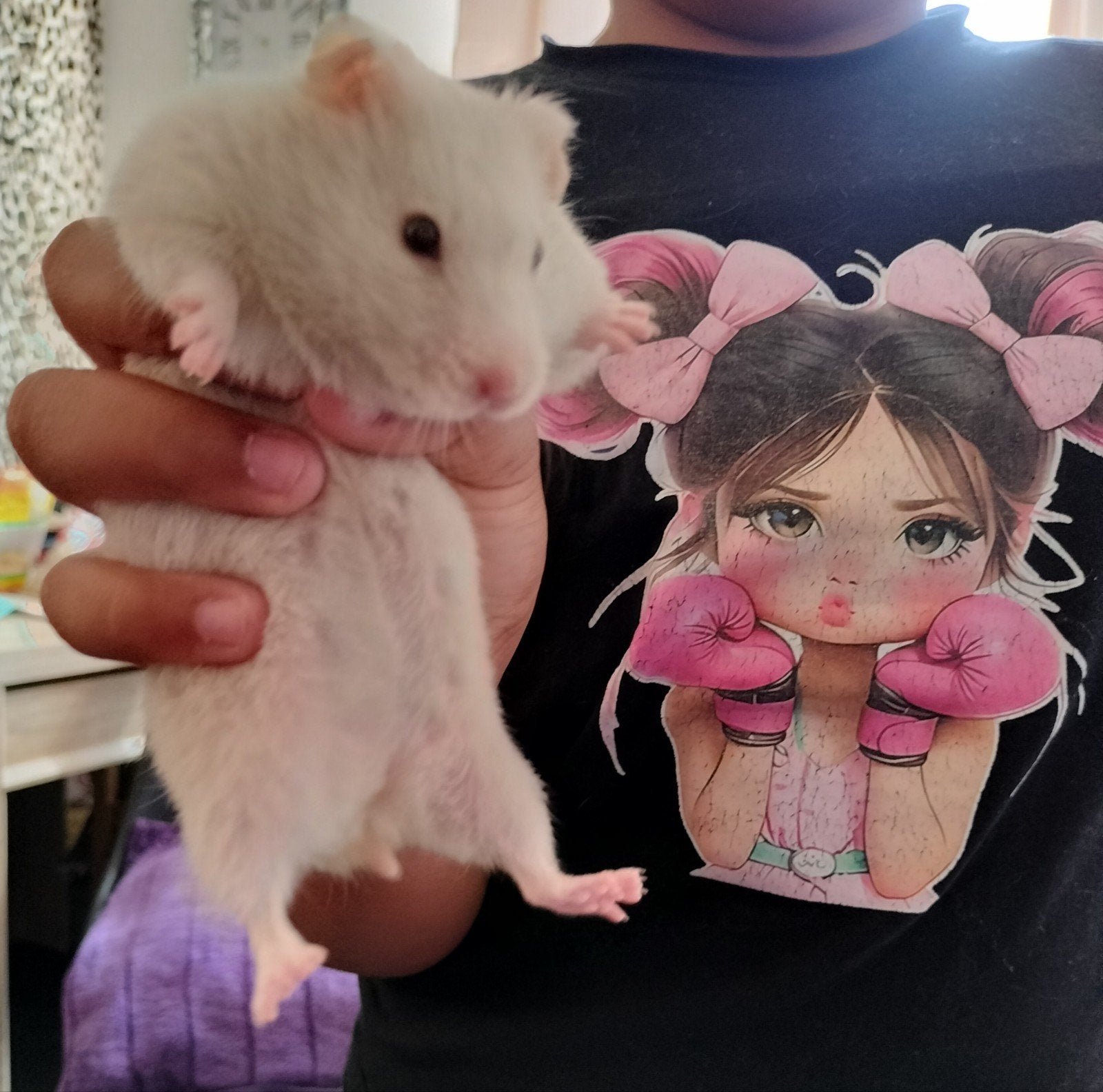 goudhamster, Dieren en Toebehoren, Februari, Vrouwelijk, Hamster