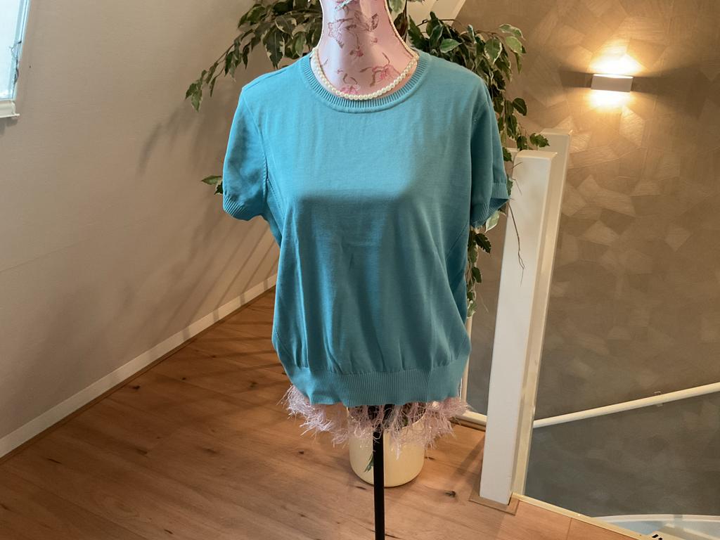 Nieuwe Claudia Sträter zomerpul korte mouw maat 46 blauw, Ophalen of Verzenden, Nieuw, Maat 46/48 (XL) of groter, Blauw