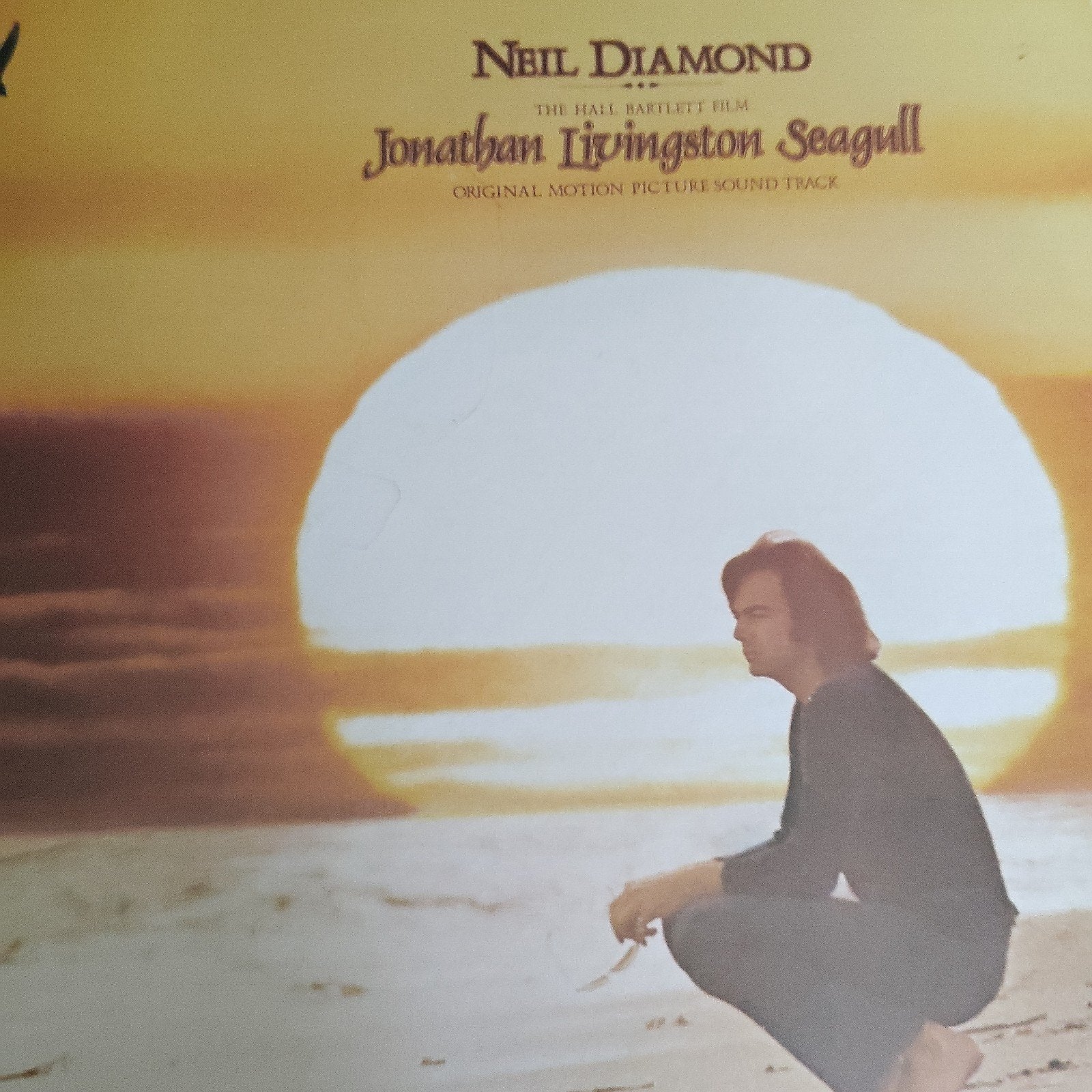 Neil Diamond - Jonathan Livingston Seagull LP, Ophalen of Verzenden, Gebruikt