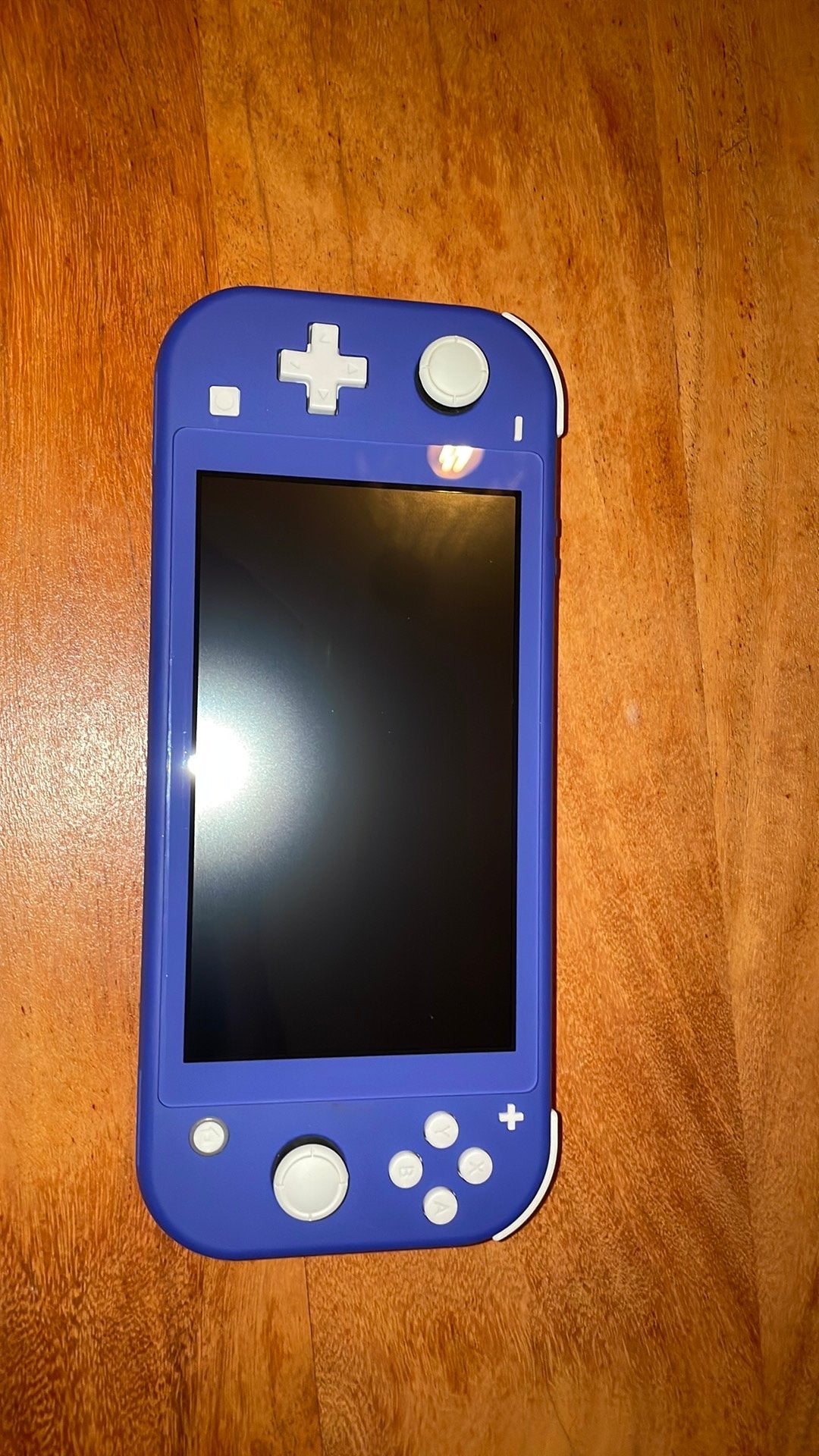 Nintendo switch lite Blauw, Ophalen, Overige kleuren, Gebruikt, Met beschermhoes of tas
