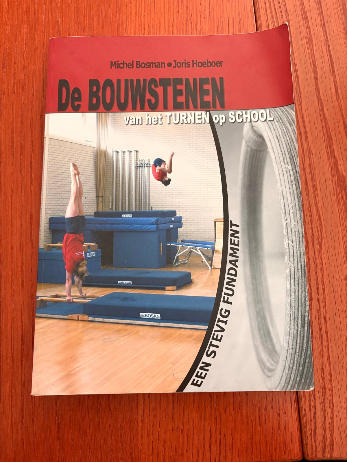 De Bouwstenen van het Turnen op School - ALO, Boeken, Ophalen of Verzenden, Gelezen, HBO