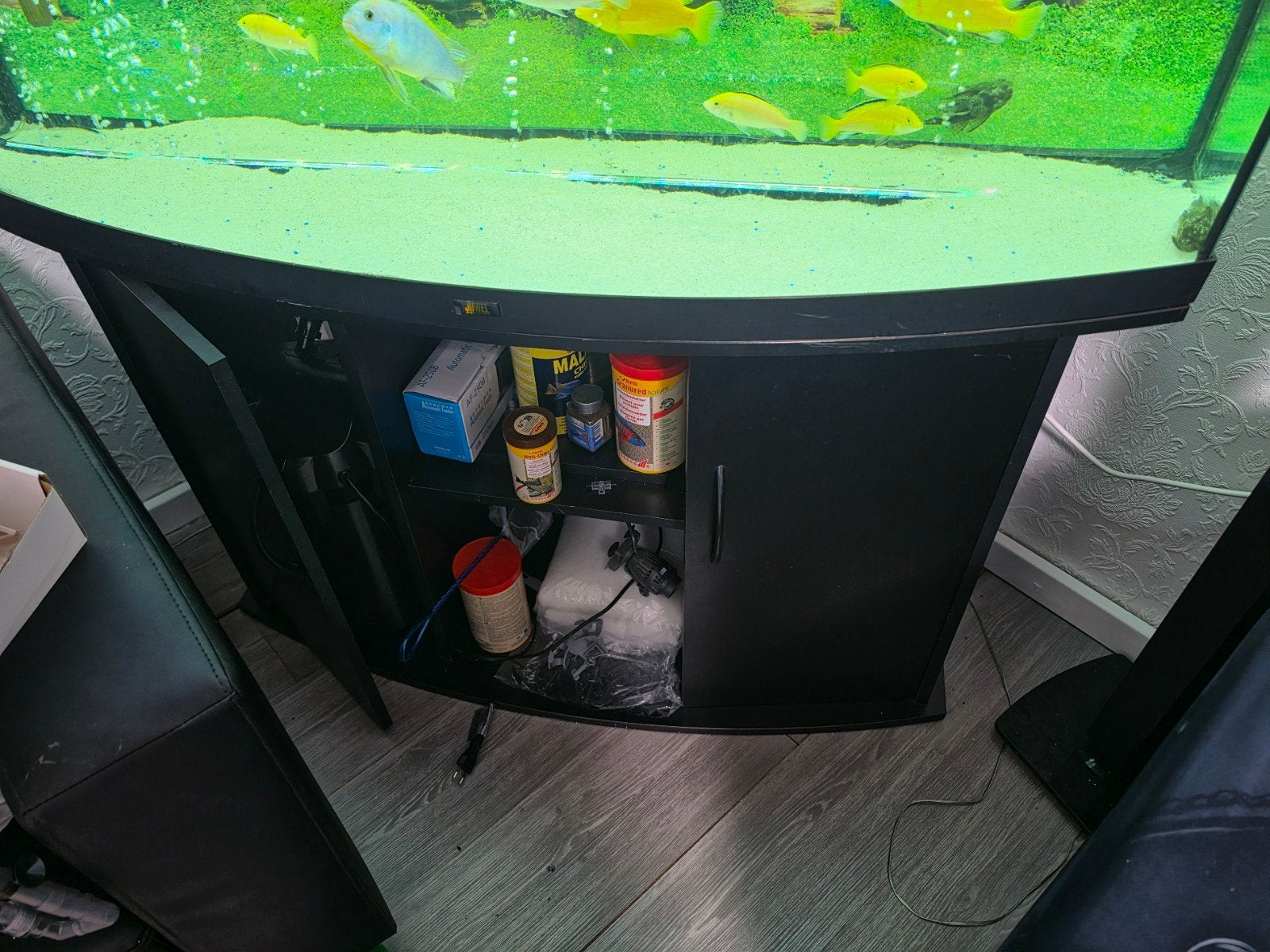 Aquarium juwel 260 met malawi vissen bestand, Ophalen, Verwarming, Zo goed als nieuw, Juwel
