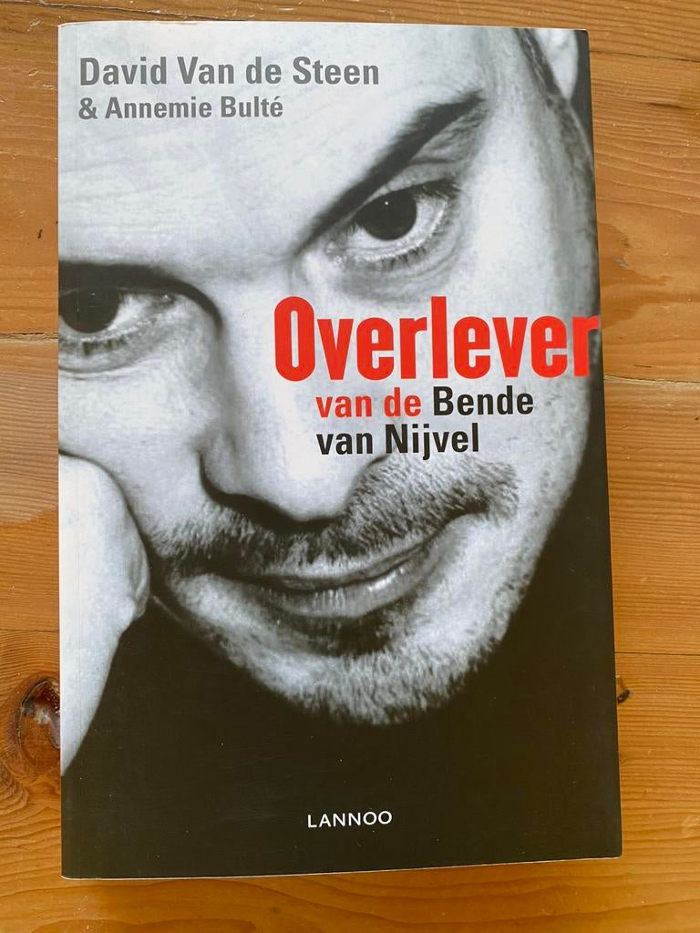 Overlever van de Bende van Nijvel- David van de Steen, Boeken, Ophalen of Verzenden, Gelezen