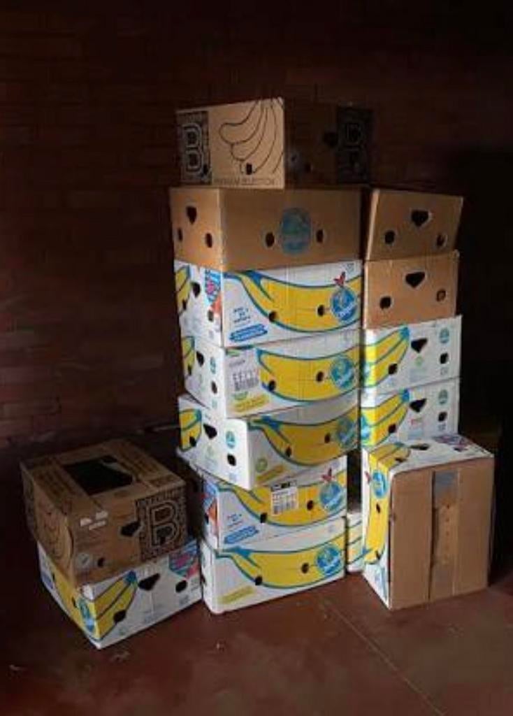 Gratis -bananendozen, Doe-het-zelf en Verbouw, Kratten en Dozen, Ophalen, Doos, 40 tot 60 cm, 50 tot 75 cm
