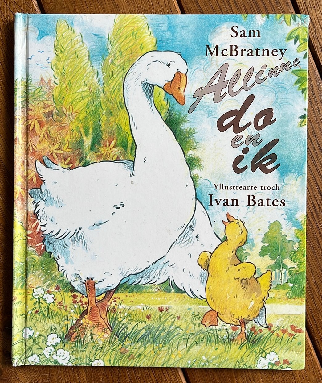Alinne do en ik Fries Frysk Sam mcBratney, Ophalen of Verzenden, Zo goed als nieuw