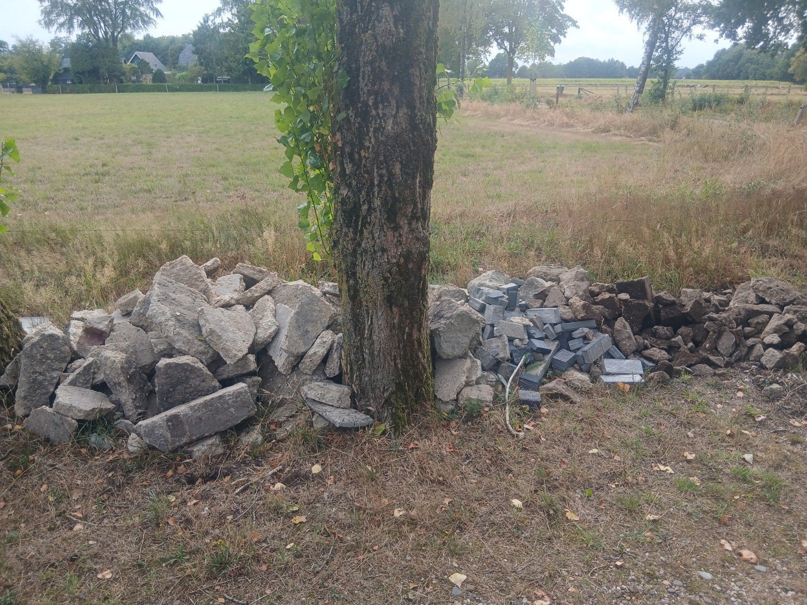 Gratis puin, Ophalen