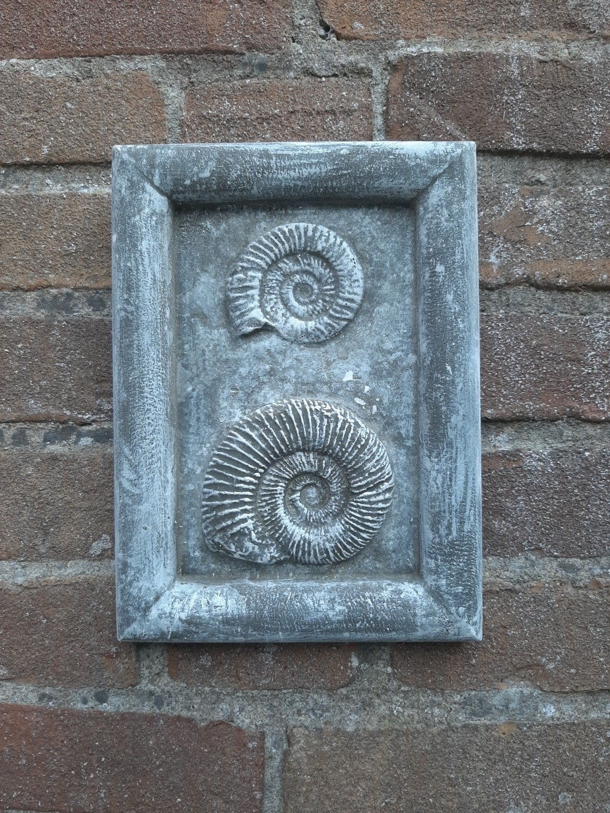 Schelpen wanddecoratie betonnen beeld tuinbeeld beton, Ophalen of Verzenden