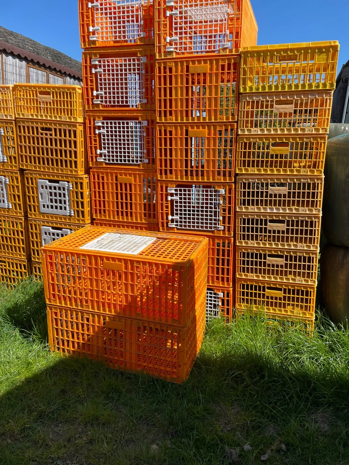 Vervoerskratten en koeling en kap, Dieren en Toebehoren