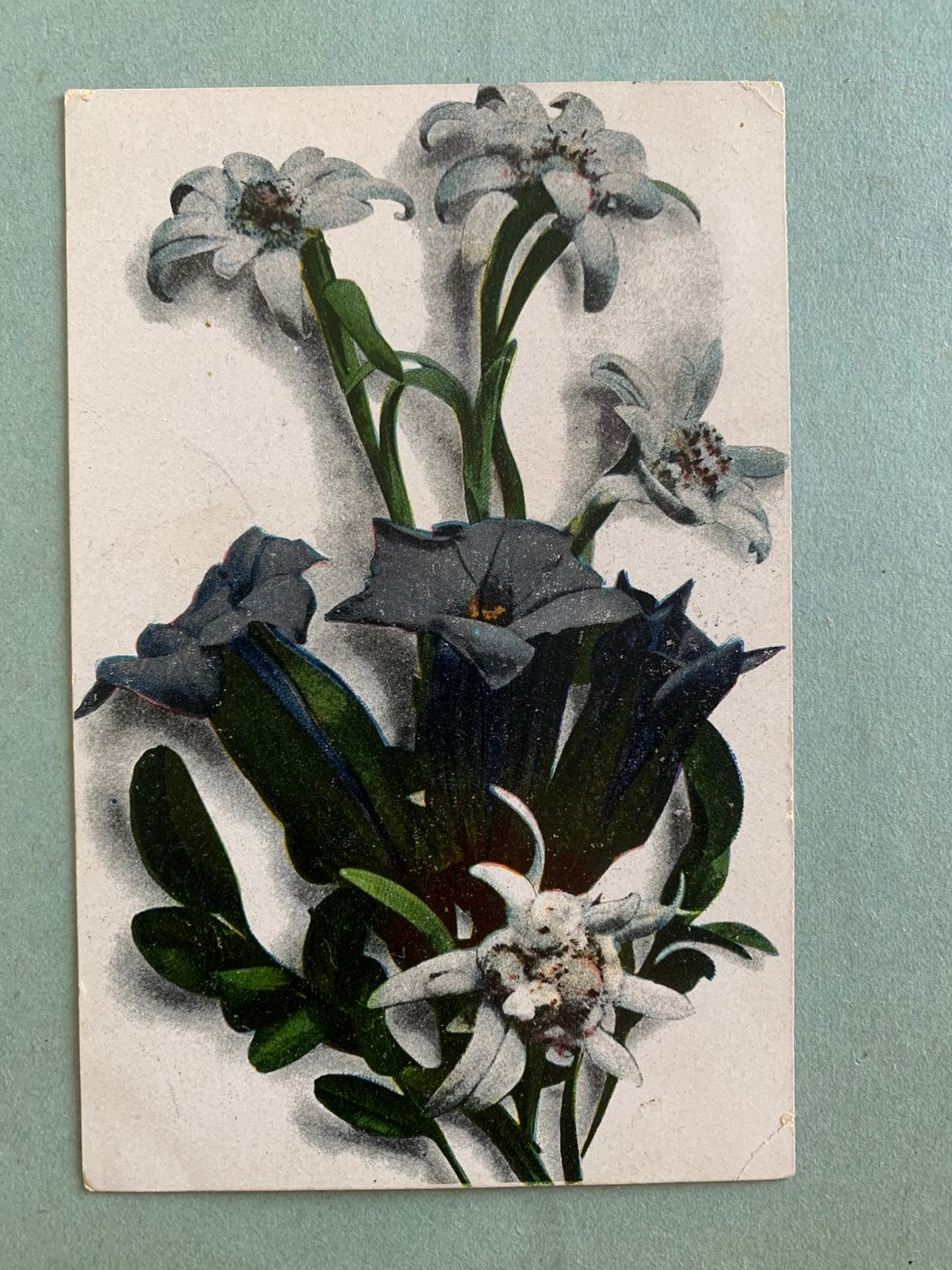 1919 Bloemen, Ophalen of Verzenden, Voor 1920, Gelopen, Natuur