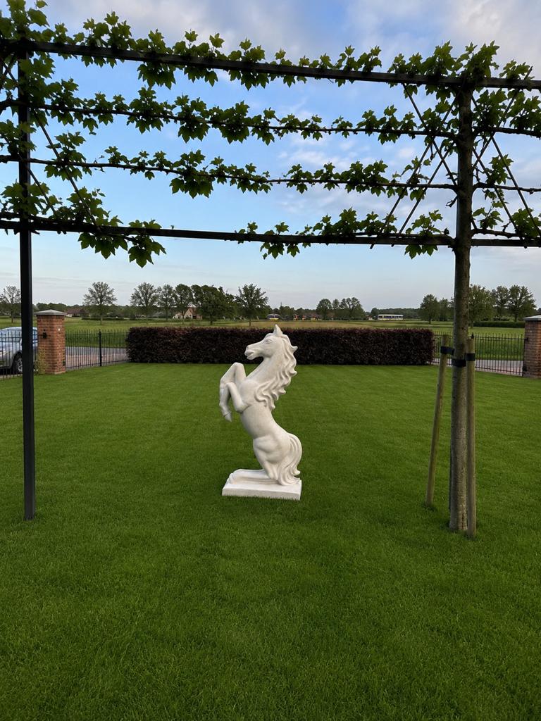 Diverse Tuinbeelden: Paard, Abstract & Meer, Ophalen of Verzenden, Nieuw, Beton, Overige typen