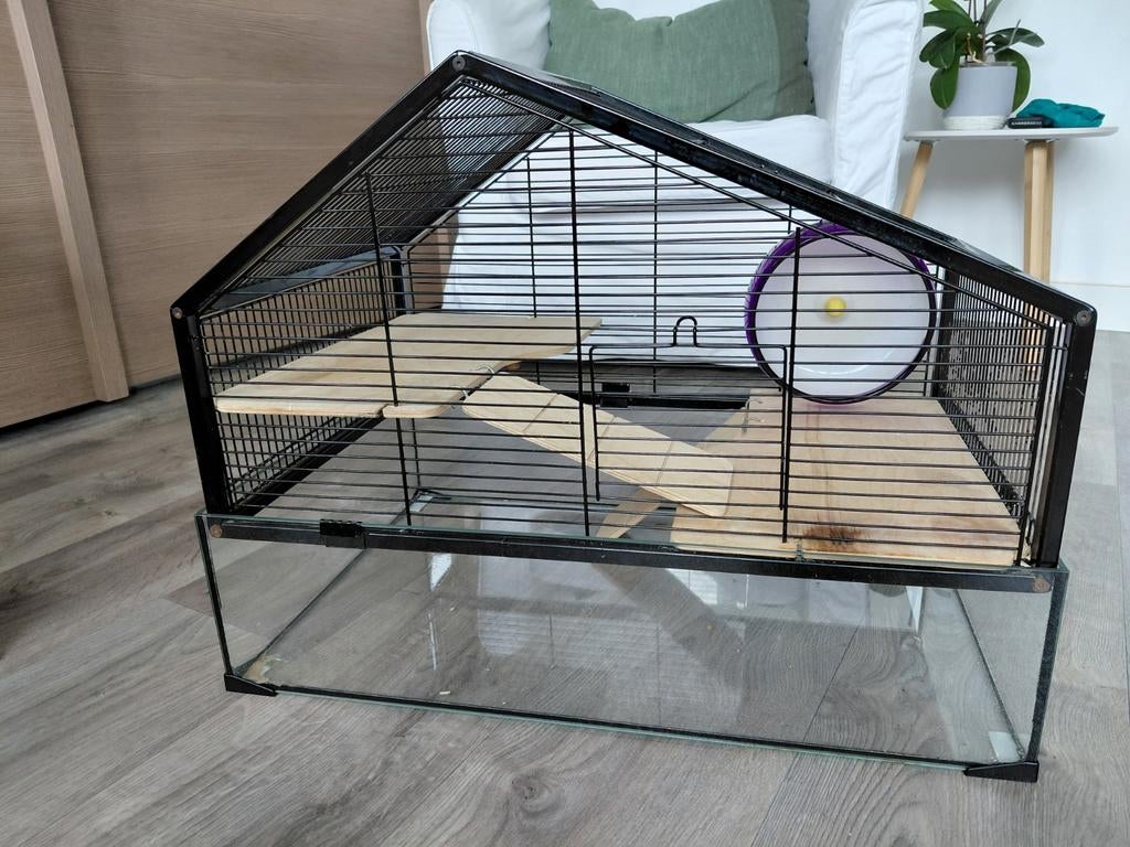 Hamsterkooi, Kooi, Gebruikt, Minder dan 75 cm, Hamster