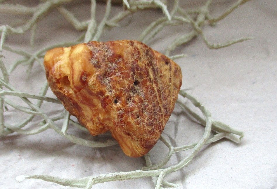 Barnsteen butterscotch ruw - doorboord - hanger, Ophalen of Verzenden, Fossiel