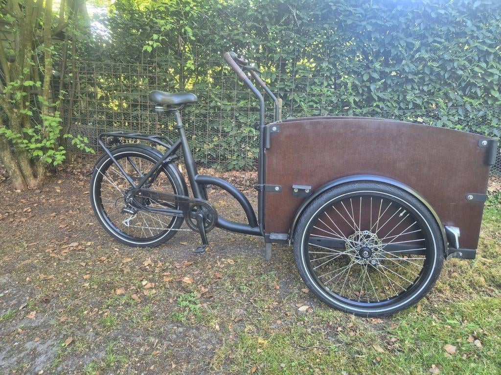 Bakfiets elektrisch, 4 kinderen of meer, Gebruikt, Elektrisch, Schijfrem