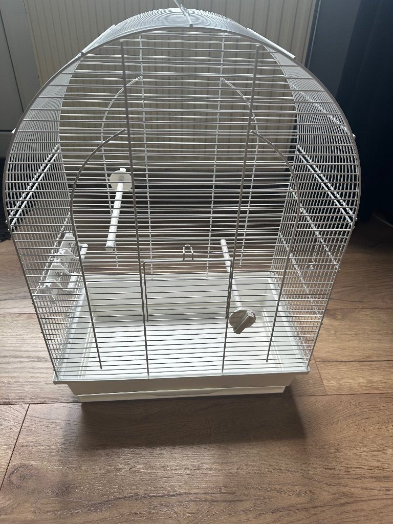 Mooie vogelkooi, Dieren en Toebehoren, Meerdere dieren, Zangkanarie