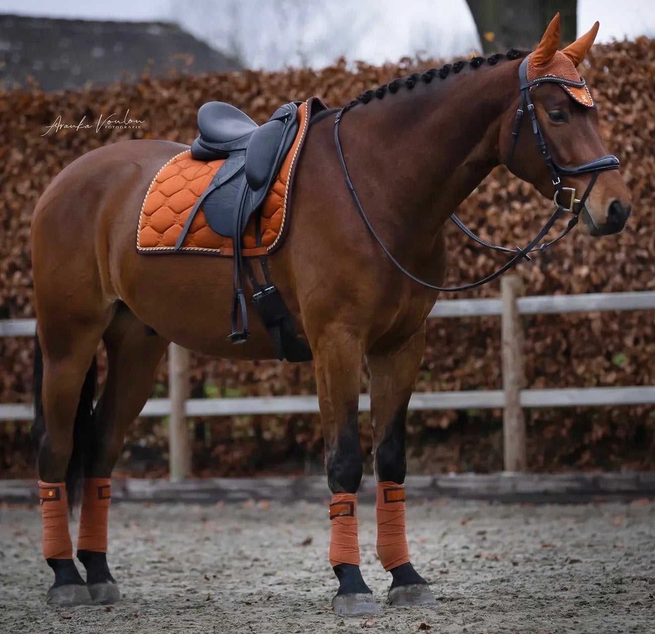 PA of sweden set maat FULL, Dieren en Toebehoren, Ophalen of Verzenden, Dressuur