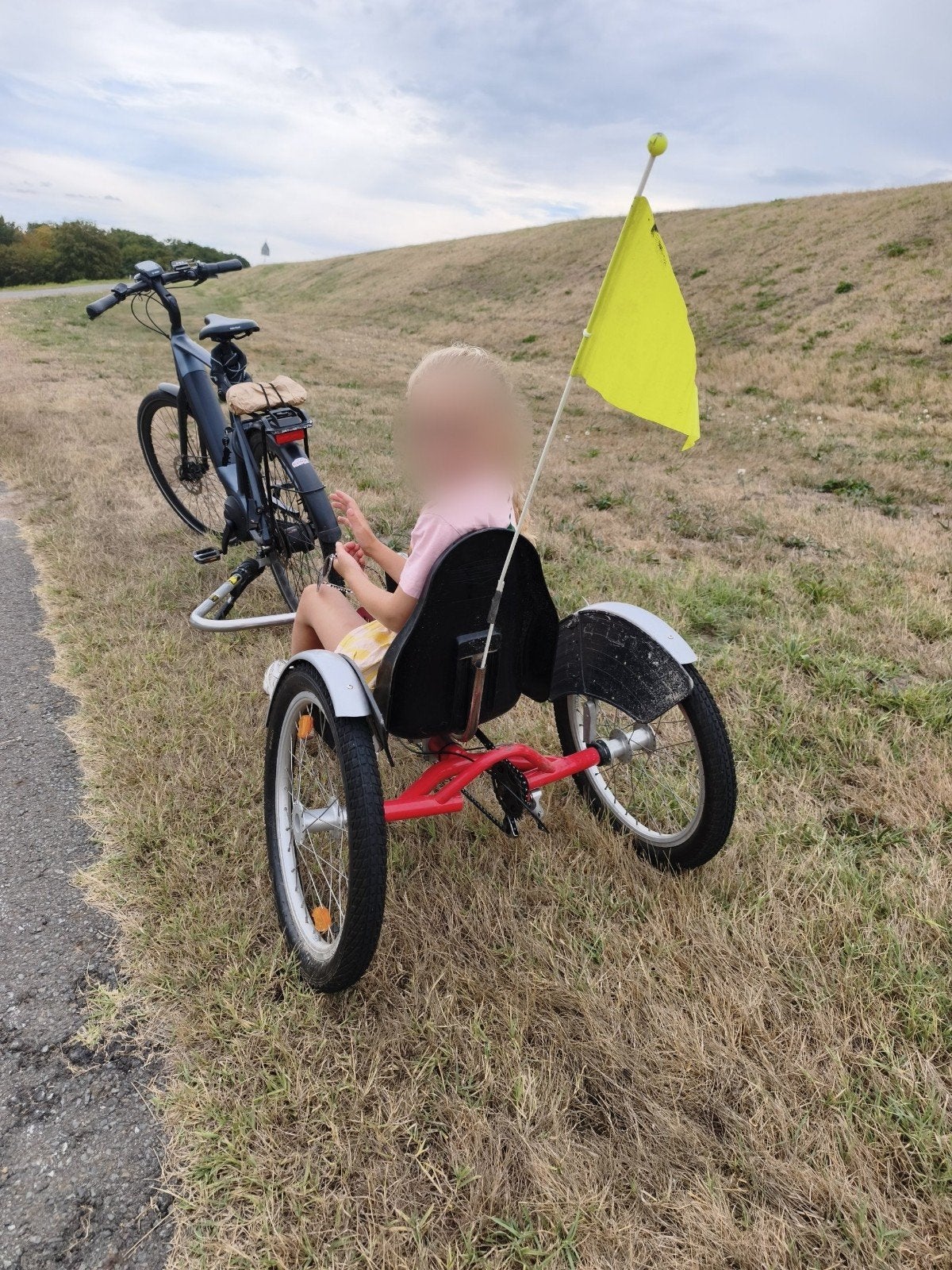 Hase degelijke aanhangfiets voor kinderen, Ophalen, Gebruikt, Minder dan 20 kg, Aanhangfiets