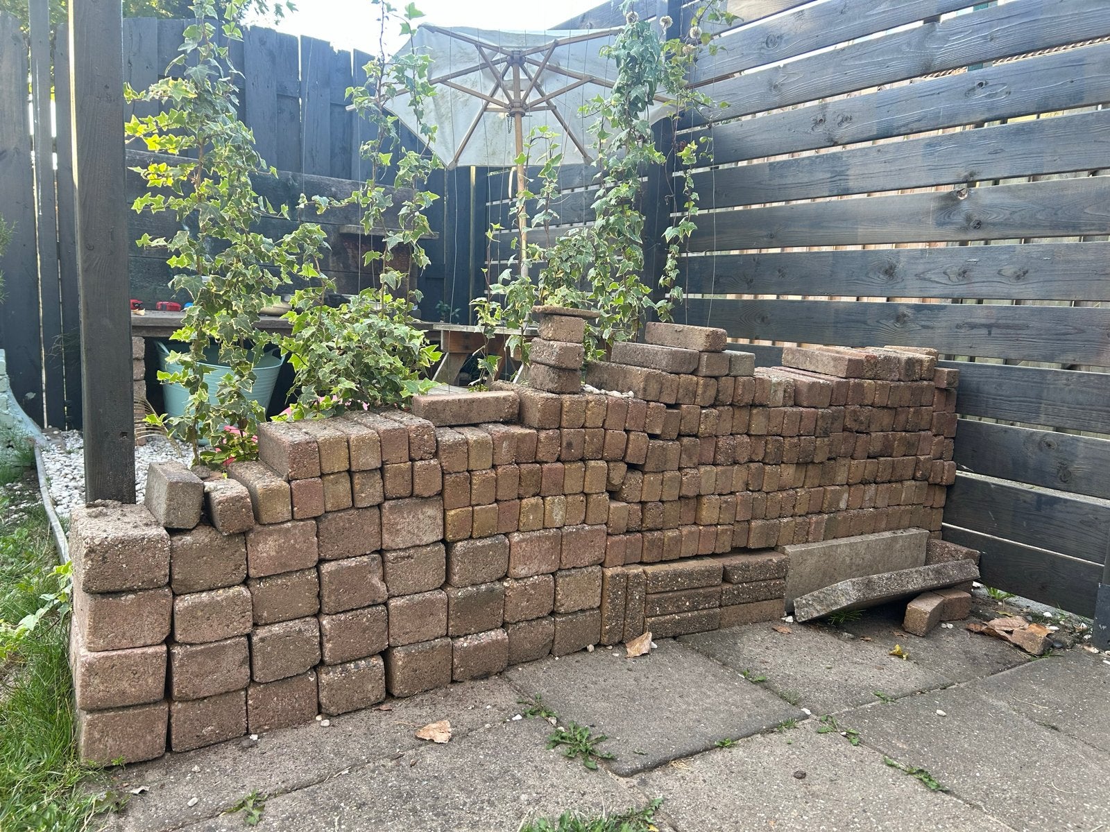 Gebruikte bakstenen voor tuin of bestrating, Ophalen, Gebruikt, Bakstenen