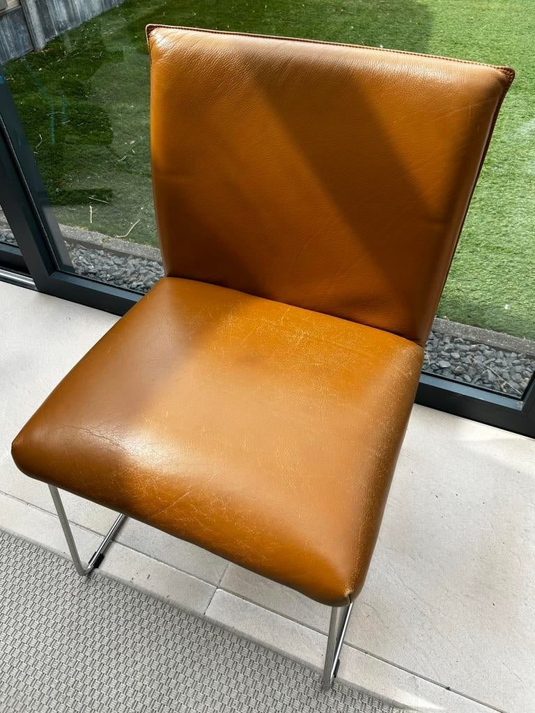 eetkamerstoelen leer, Ophalen, Gebruikt, Overige kleuren, Leer