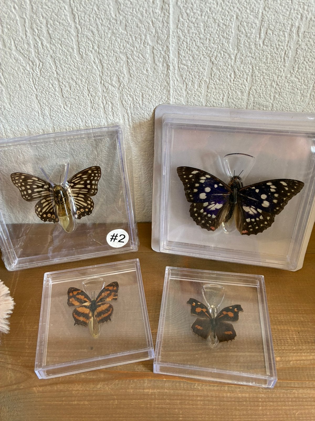 Te koop partij 2435 st deco artikelen, Ophalen, Nieuw