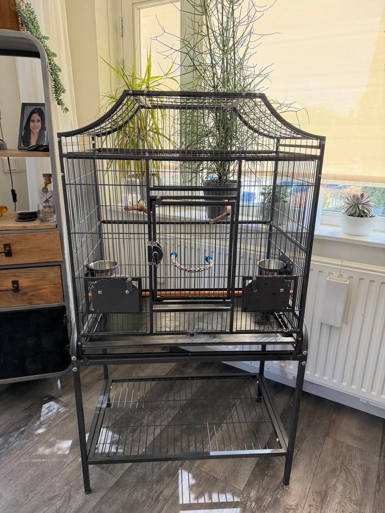 Vogelkooi Papegaai/Parkiet, Ophalen, Gebruikt, Metaal, Vogelkooi