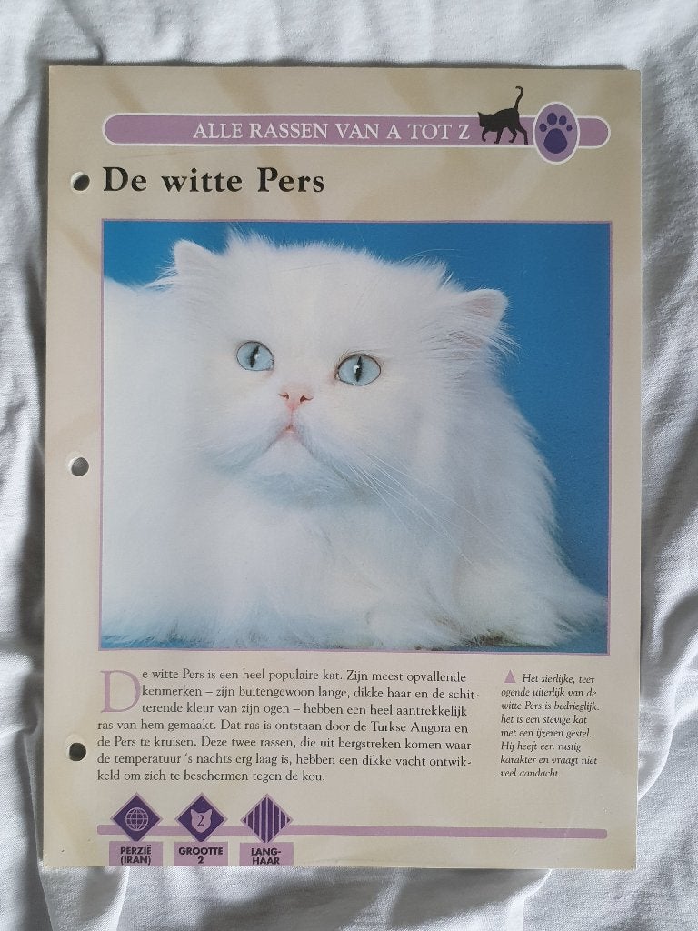 Informatie Kaarten over Katten, Ophalen of Verzenden, Zo goed als nieuw, Katten