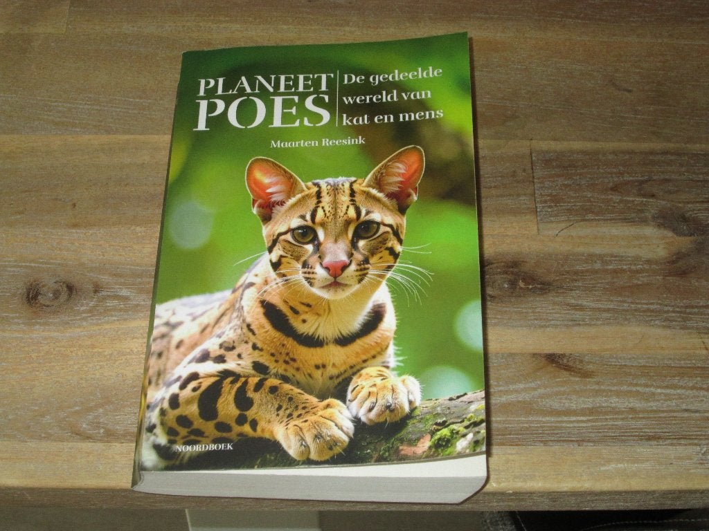 Planeet Poes:  Maarten Reesink, Ophalen of Verzenden, Zo goed als nieuw, Maarten Reesink, Katten