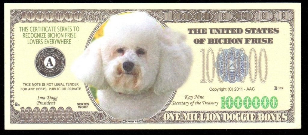 Curiosa Biljet USA - HONDEN -BICHON FRISE., Ophalen of Verzenden, Noord-Amerika, Los biljet