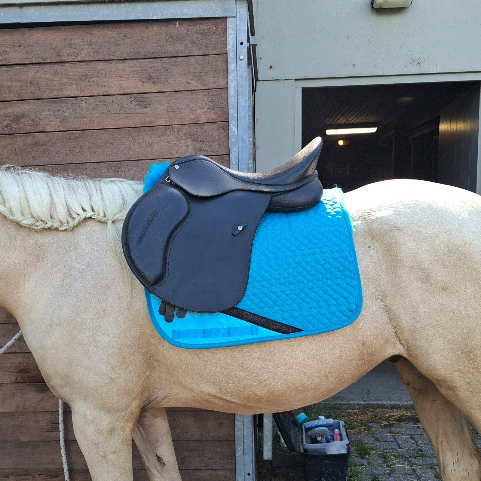 Wintec 500 - 17 inch, Dieren en Toebehoren, Paarden en Pony's | Zadels, Ophalen of Verzenden