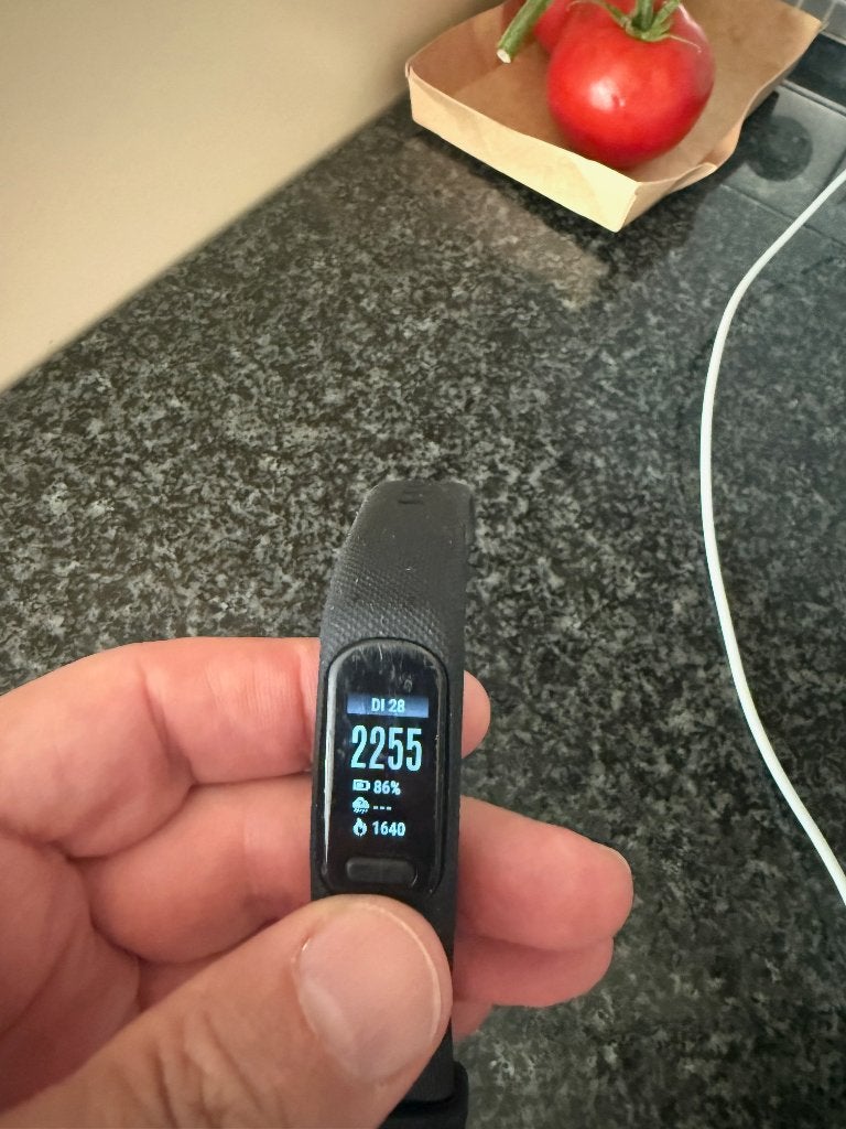 Garmin Vivosmart, Gebruikt, Zwart, Garmin, Ophalen of Verzenden