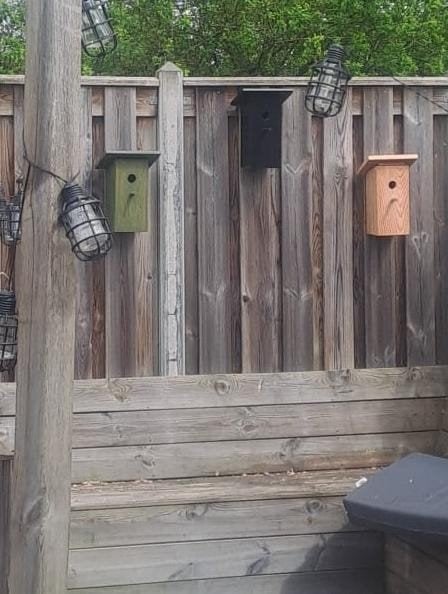 Vogelhuisje of nestkastje, 1 tot 2 meter, Minder dan 3 meter, Nieuw, Ophalen of Verzenden