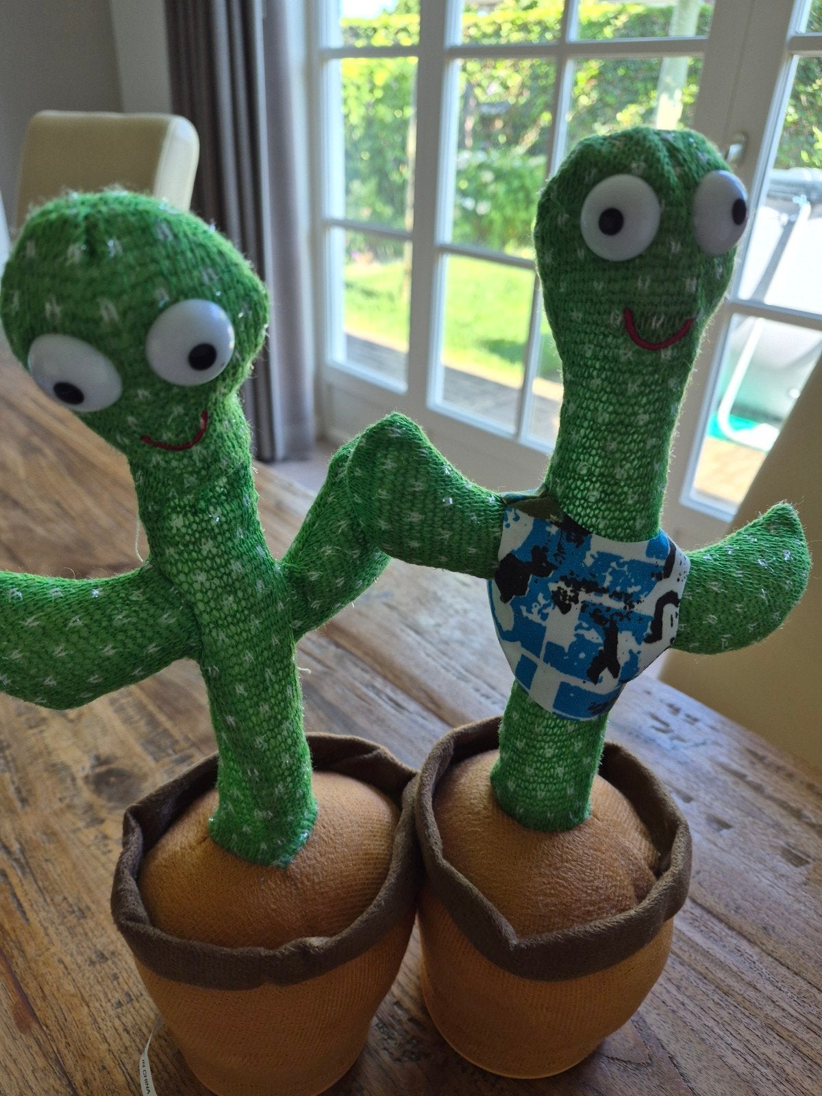 2 dansende cactussen., Ophalen, Overige typen