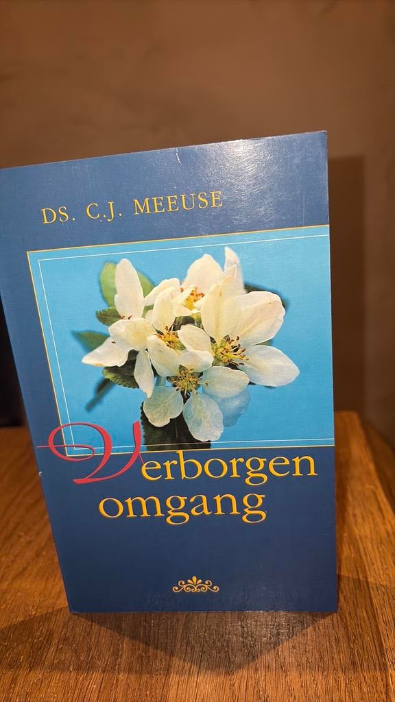KR-1 Ds C J. Meeuse - Verborgen omgang, Ophalen of Verzenden, Zo goed als nieuw, C.J. Meeuse