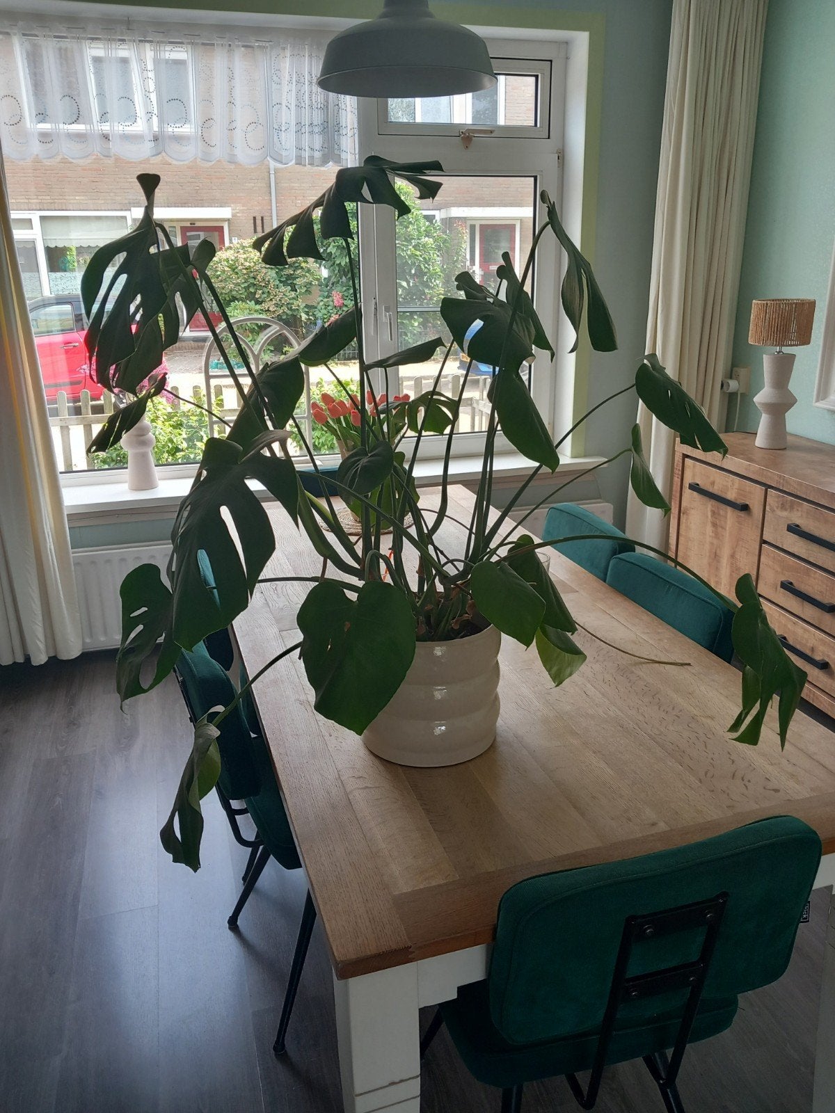 IKEA plantenpot beige Hasselbukett past bij Japandi, Ophalen, Rond, Binnen, Zo goed als nieuw