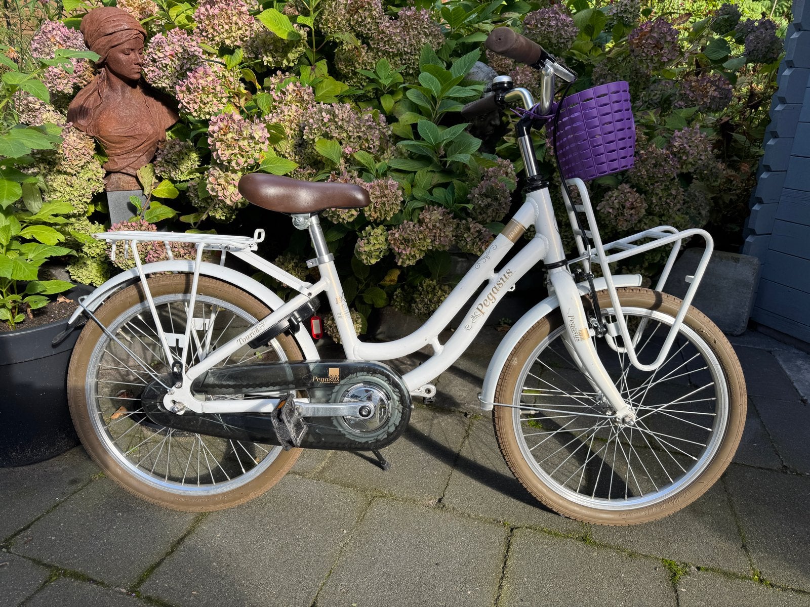 Pegasus Tourén Comfort kinderfiets 20 inch, Ophalen, Terugtraprem, Gebruikt, Handrem