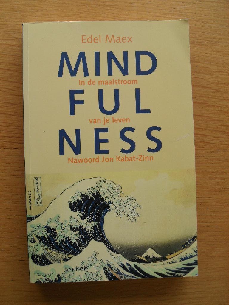 Mindfulness in de maalstroom van je leven van Edel Maex, Boeken, Ophalen of Verzenden, Gelezen