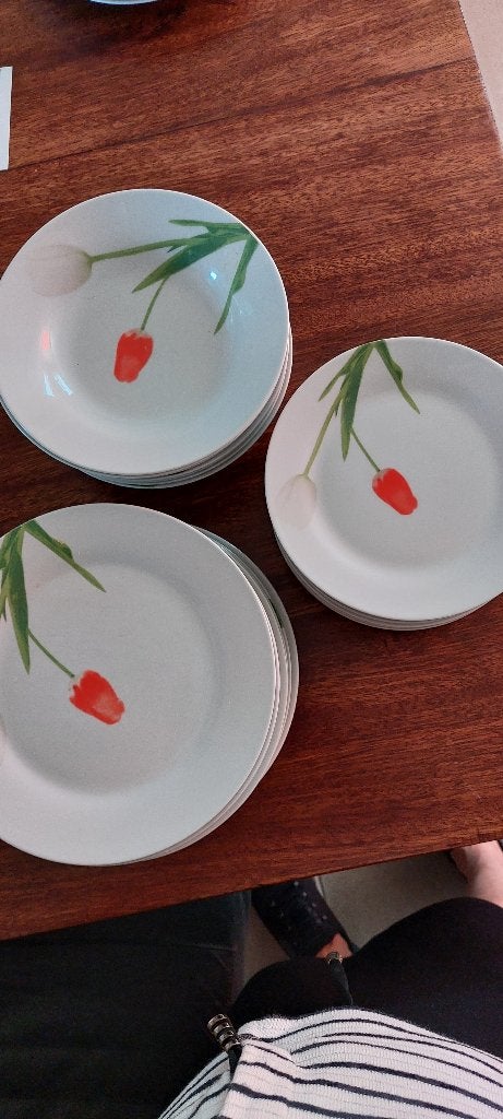 Tulpen servies, Vintage, Ophalen of Verzenden, Zo goed als nieuw, Bord(en)