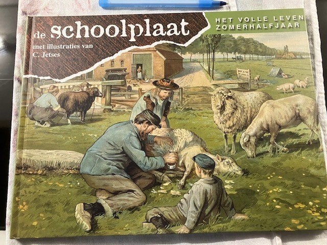 C. Jetses de Schoolplaat : het volle leven, zomerhalfjaar, Ophalen of Verzenden, Zo goed als nieuw
