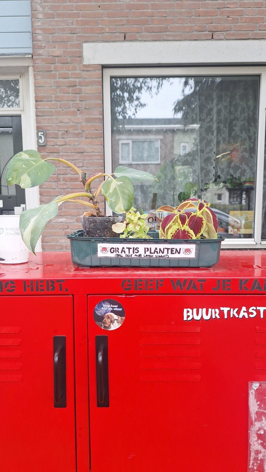 Plantjes/stekjes ruilen, Huis en Inrichting, Kamerplanten, Ophalen