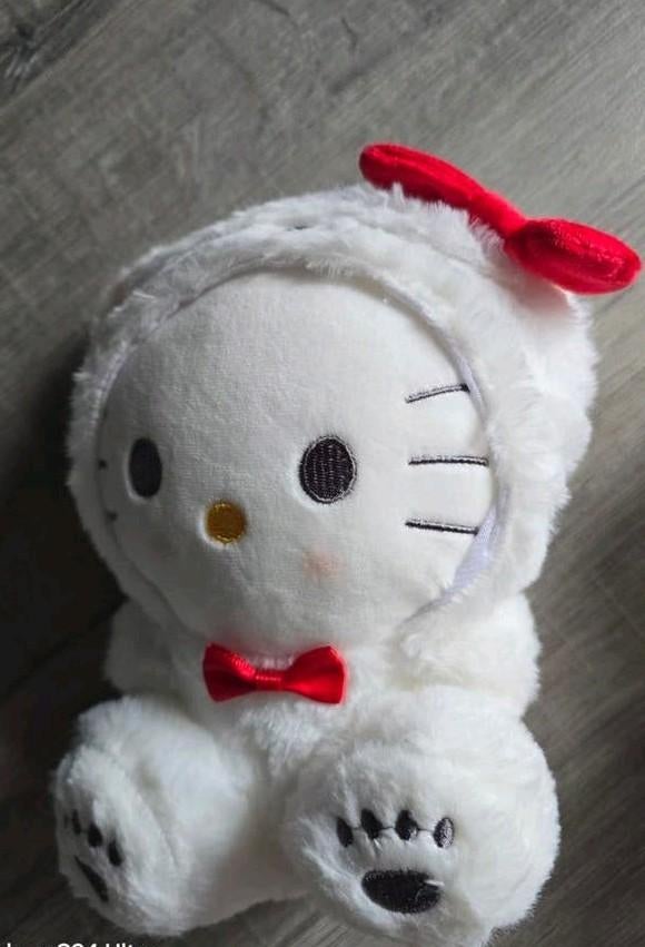 Nieuwe Sanrio knuffels 25 cm - Hello Kitty, Cinnamoroll, Overige merken, Overige typen, Nieuw, Ophalen of Verzenden