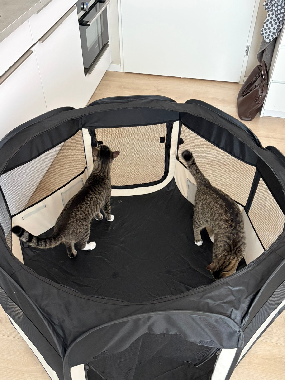 Opvouwbare puppyren puppytent, Dieren en Toebehoren, Ophalen, Zo goed als nieuw